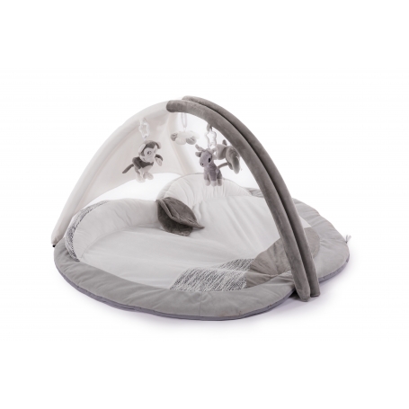 grey and white play gym