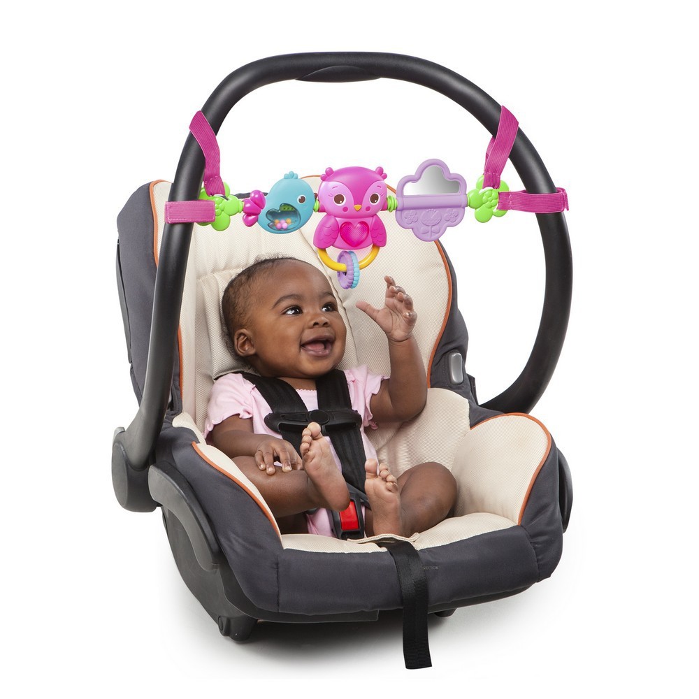 bright starts busy birdies carrier toy bar