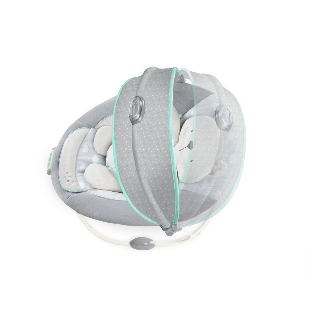 twinkle twinkle teddy bear bouncer