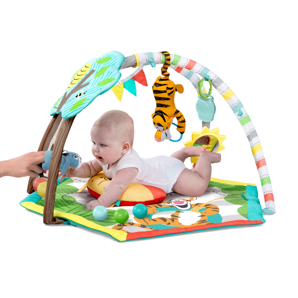 winnie the pooh play gym