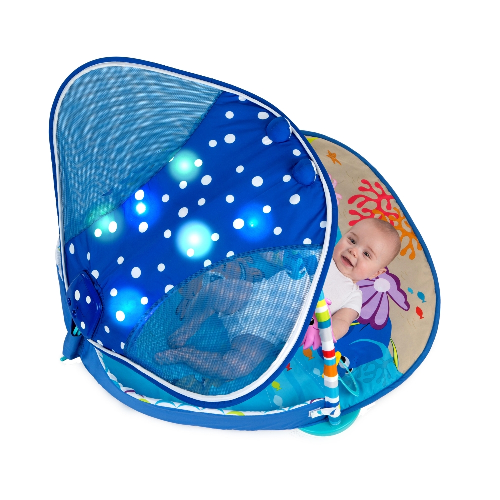 mr ray ocean lights activity gym