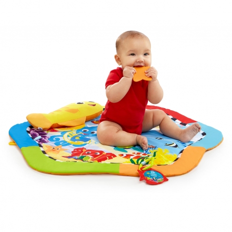 rhythm of the reef play gym